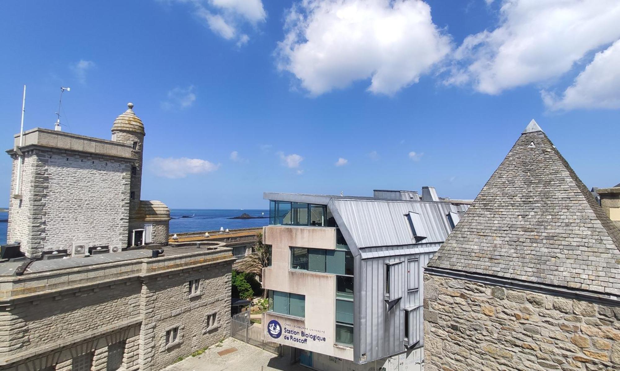 Roscoff 2 Pieces Classe 2 Etoiles Et Terrasse Centre Historique Exterior photo